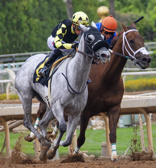 威胁心知肚 威胁心知肚