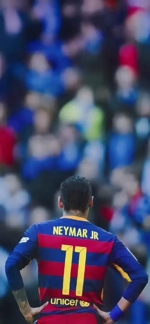 巴西足协的 巴西足协的